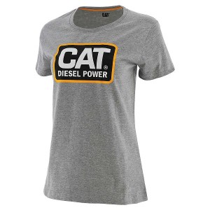 Caterpillar Diesel Power Tee Women's T-Shirt Grey | 210894-IMN