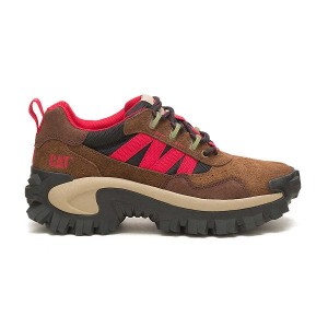 Caterpillar Intruder Beta Men's Sneakers Brown | 765290-PEJ