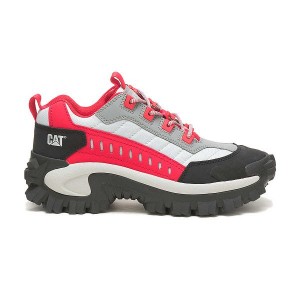 Caterpillar Intruder Men's Sneakers Pink | 523908-CIQ