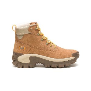 Caterpillar Intruder Ply Men's Boots Brown | 130257-TBZ