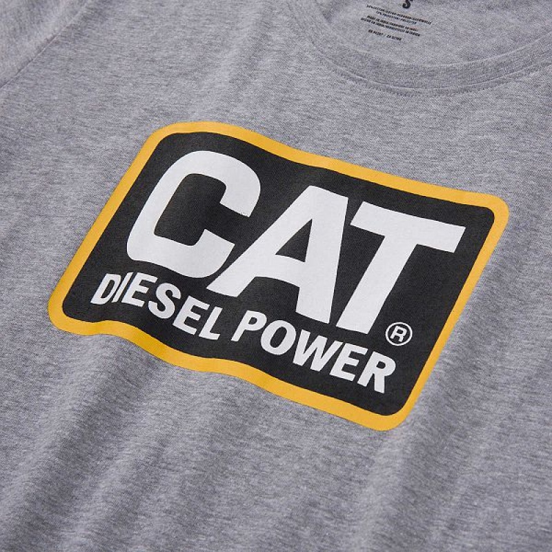 Caterpillar Diesel Power Tee Women's T-Shirt Grey | 210894-IMN