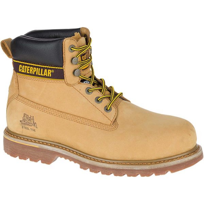 Caterpillar HOLTON SB E FO HRO SRC Men's Work Boots Brown | 254930-FIA