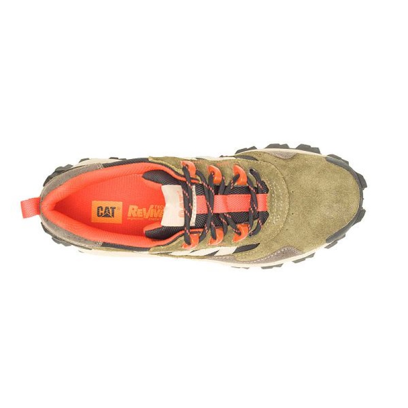 Caterpillar Intruder Beta Men's Sneakers Dark / Olive | 340512-FXU