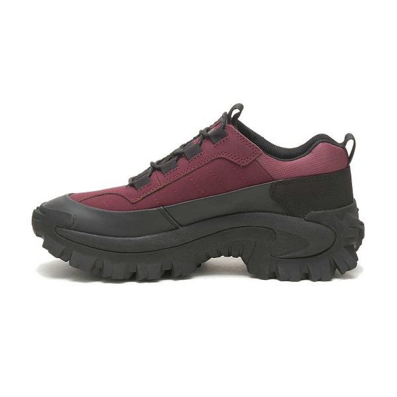 Caterpillar Intruder Waterproof Galosh Men's Sneakers Black / Burgundy | 051938-ARH