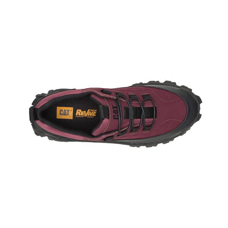 Caterpillar Intruder Waterproof Galosh Men's Sneakers Black / Burgundy | 051938-ARH